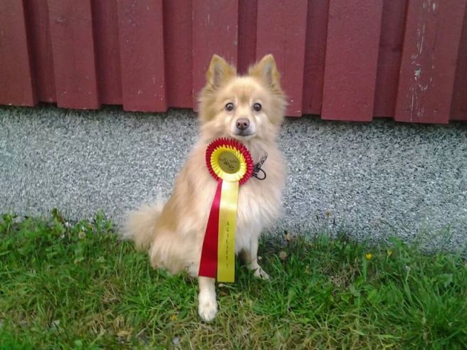 IMG_372466758656982.jpeg image