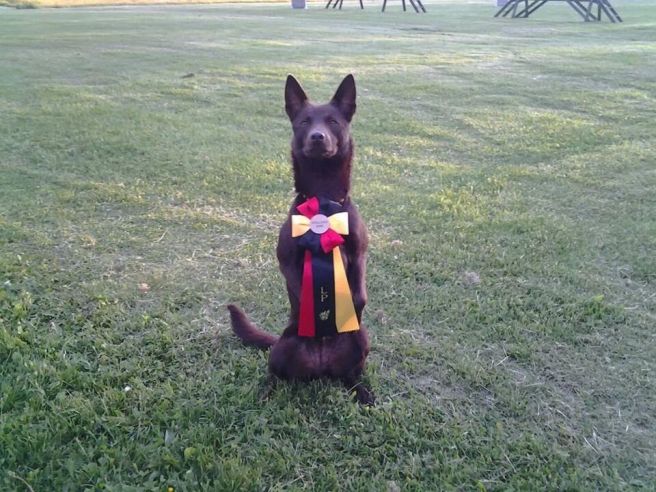 IMG_372518746327882.jpeg image