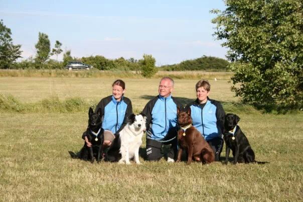 IMG_372867023519044.jpeg image