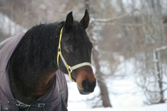 IMG_3839672573574.jpeg image