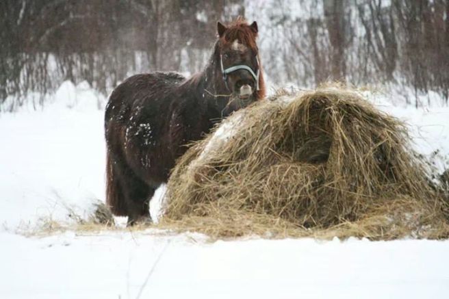 IMG_3845735500820.jpeg image