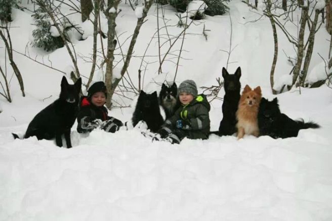 IMG_5190282822554.jpeg image