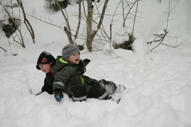 IMG_5202591782516.jpeg image