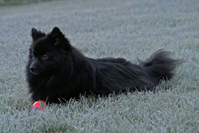 IMG_55058917060010.jpeg image