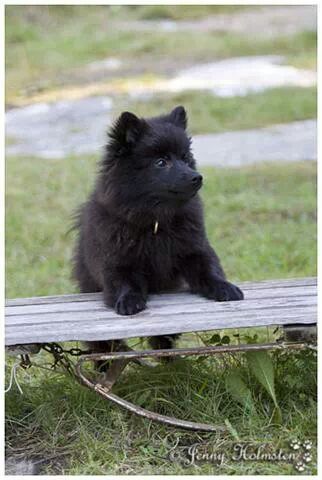 IMG_55087746832959.jpeg image