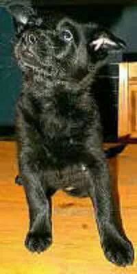 IMG_55109489050976.jpeg image