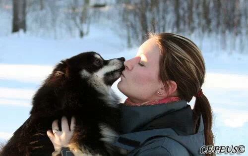 IMG_88668608486775.jpeg image