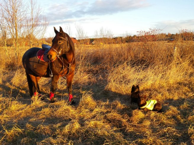 wp-1393616461771 image