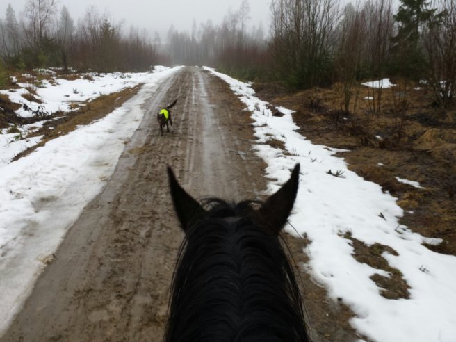 20140301_112427.jpg image