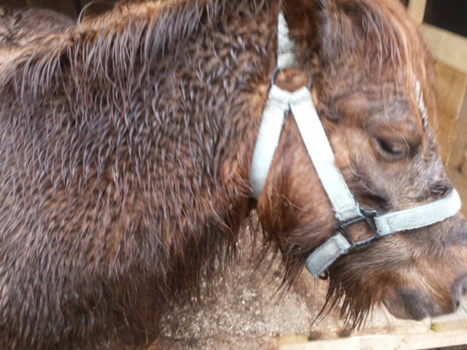 20140301_114421.jpg image