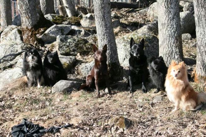 IMG_256410930515555.jpeg image