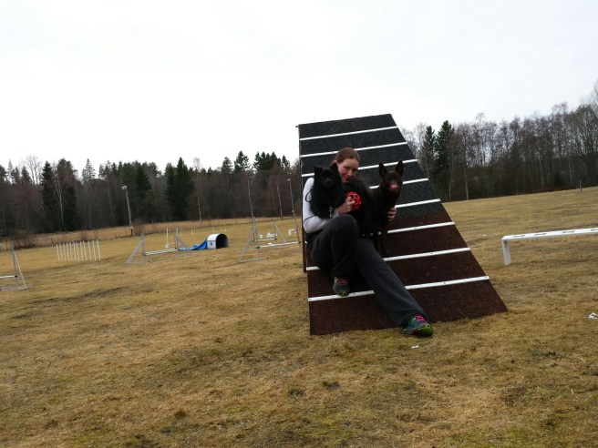 20140408_174549.jpg image
