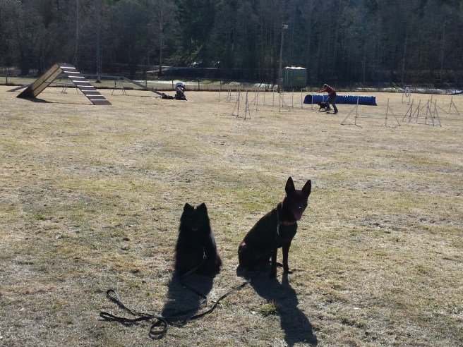 20140409_125309.jpg image