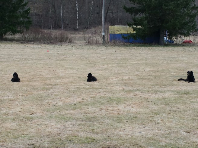 20140410_180648.jpg image