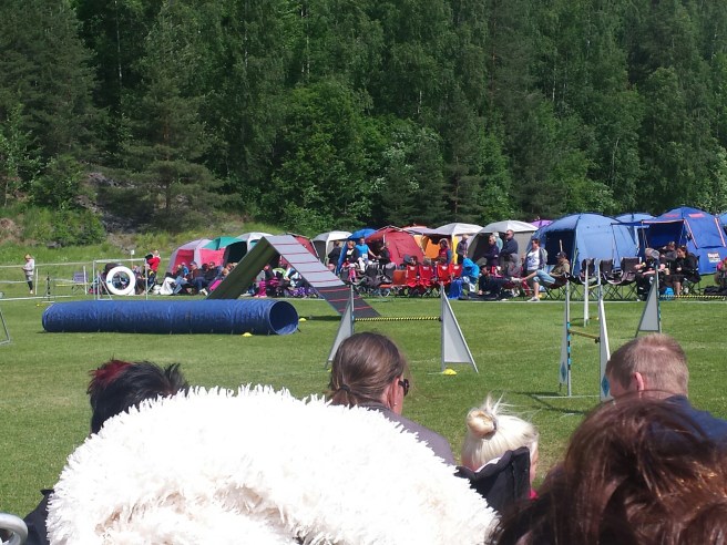 20140615_123630.jpg image