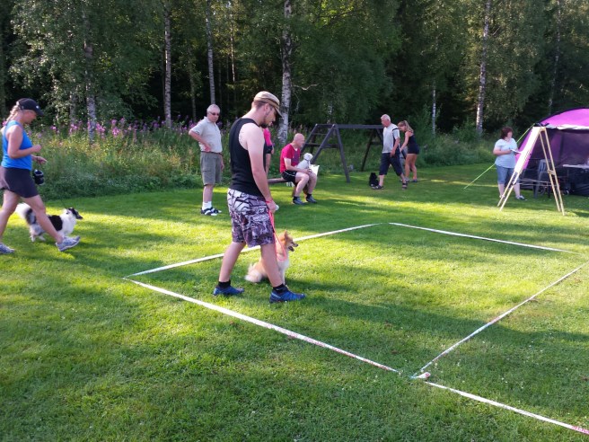 20140726_092502.jpg image