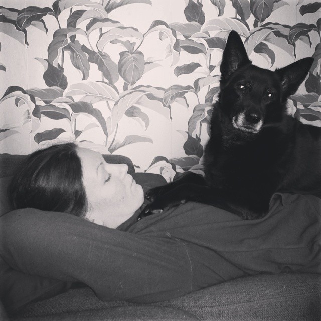 1618627_10151934784022227_1747611771_n.jpg image