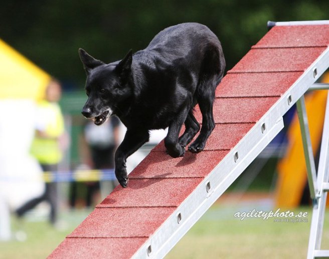 185463_10150260493722817_133579_n.jpg image