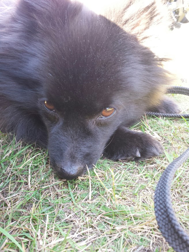 20140918_121055.jpg image