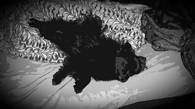 2014-10-10 11.02.25.jpg image
