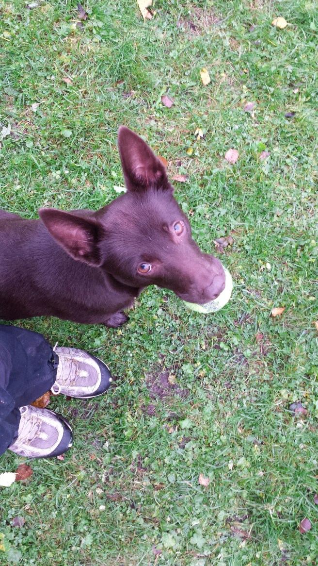 20141026_075451.jpg image