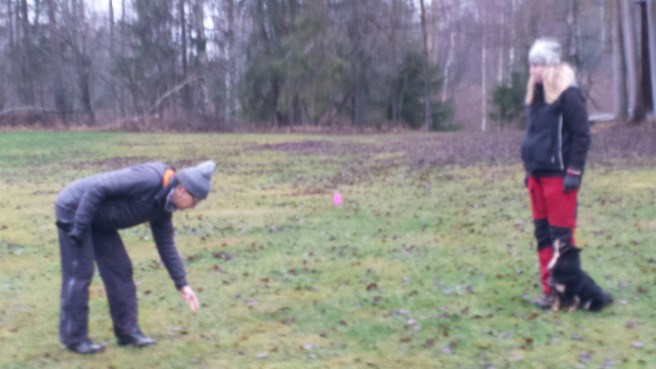 20141116_103713.jpg image