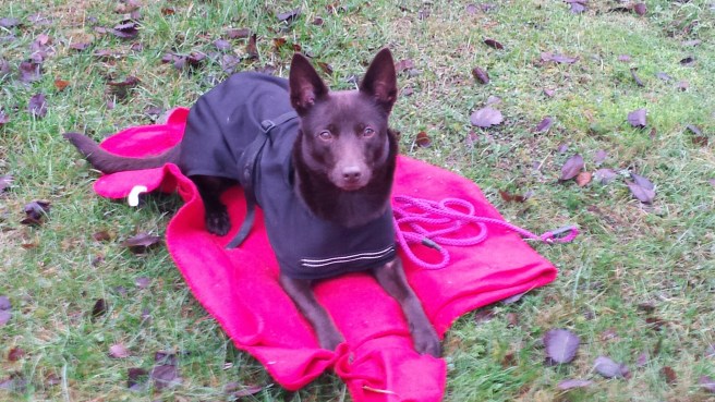 20141116_103718.jpg image