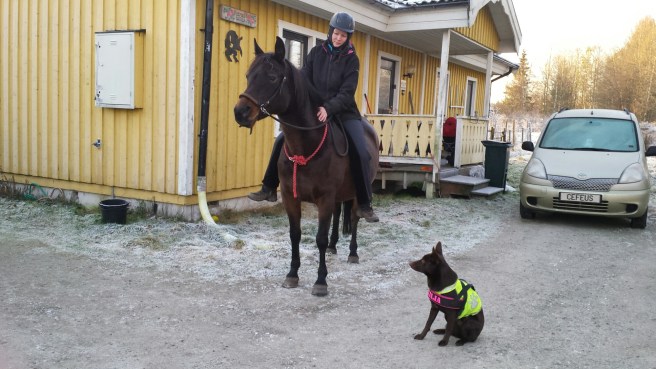 20141130_124708.jpg image