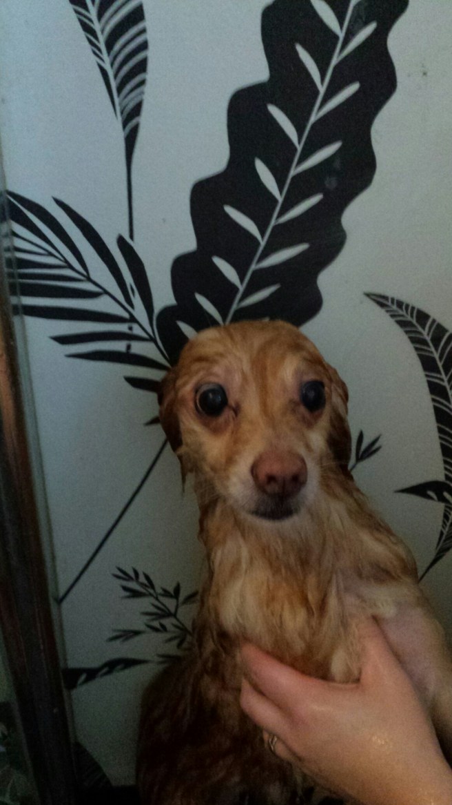 20141221_115340.jpg image