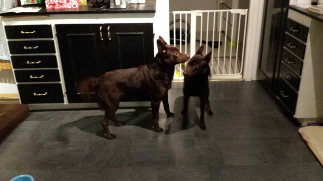 20141226_182550.jpg image