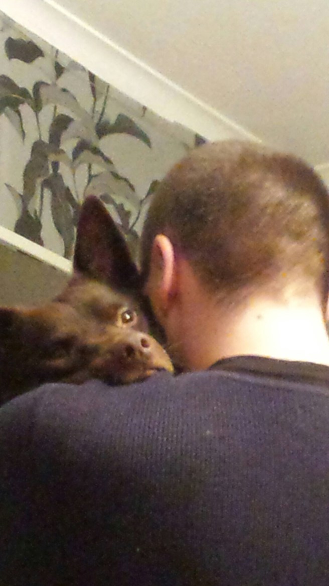 20141226_212401.jpg image