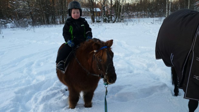 20141227_134940.jpg image