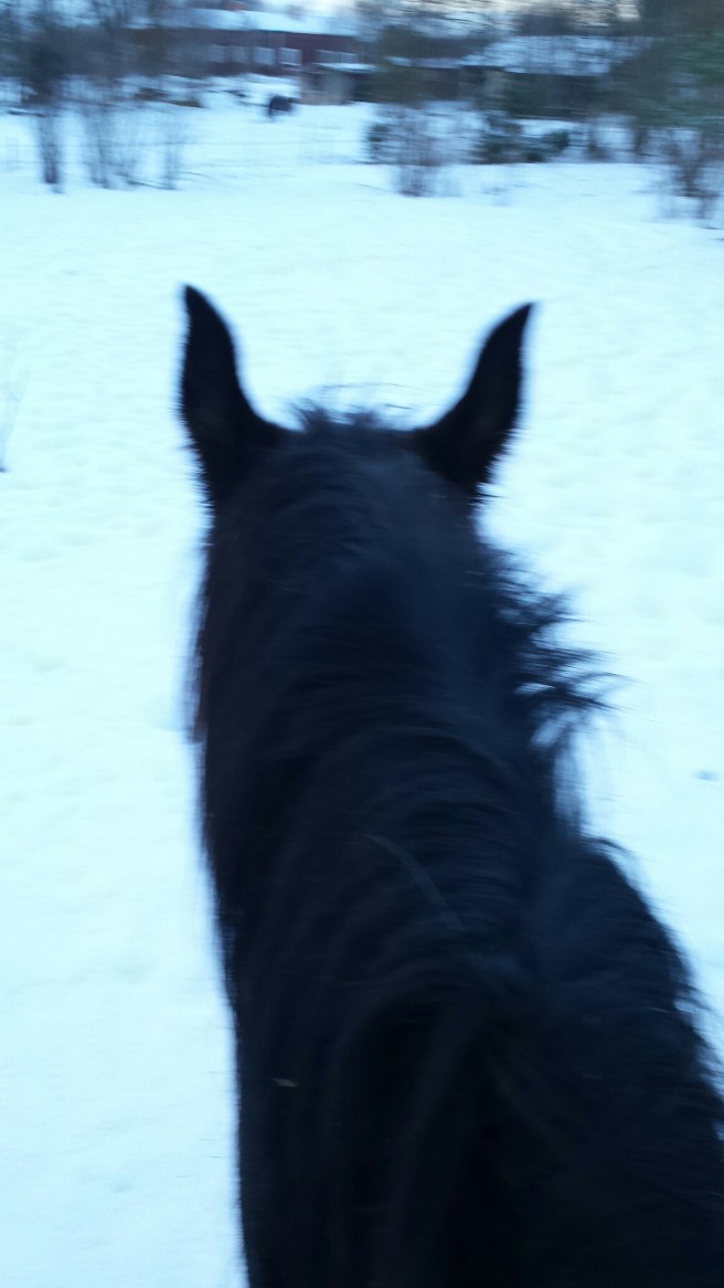 1420620084008.jpg image