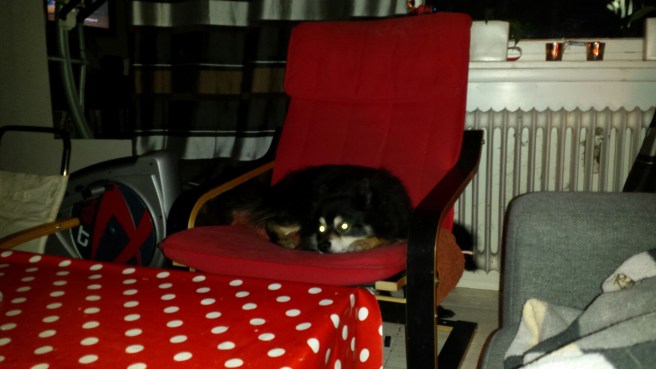 20141231_232131.jpg image