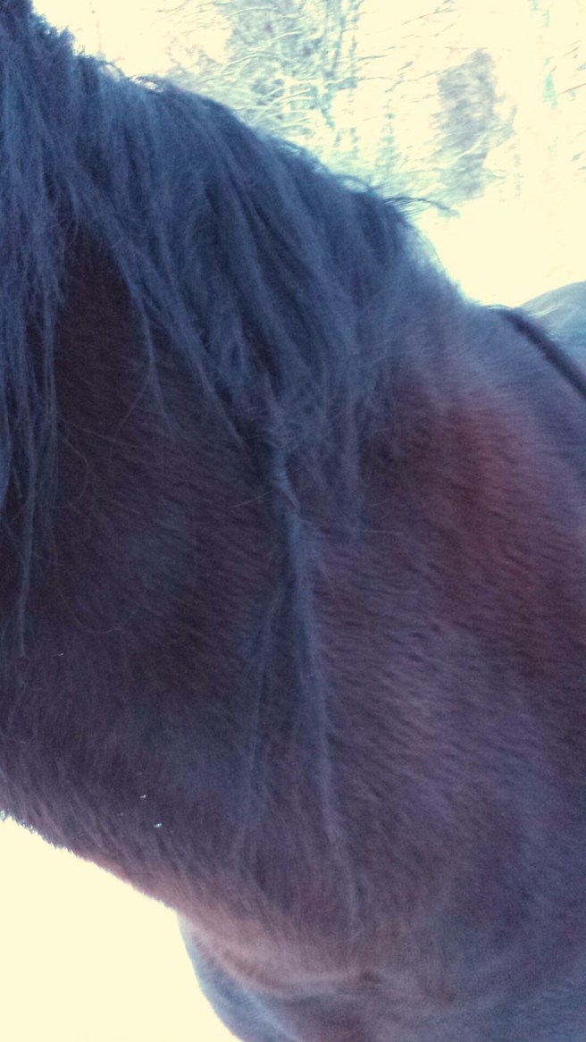 2015-01-14 10.56.15.jpg image