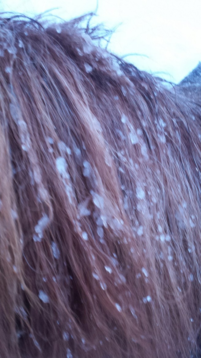 20150114_084602.jpg image