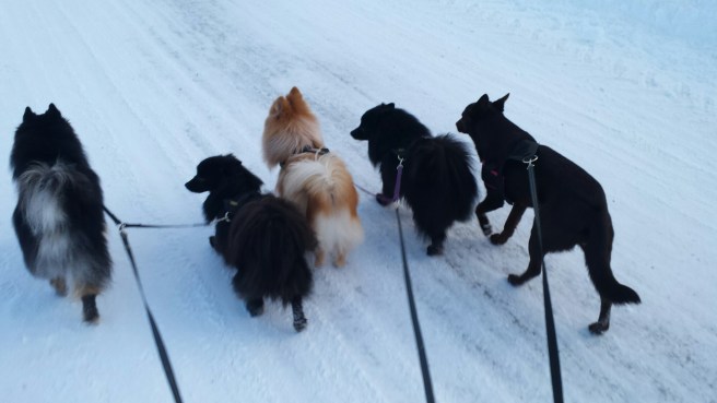 20150114_100236.jpg image