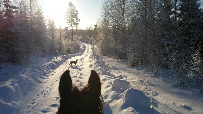 20150127_102446.jpg image