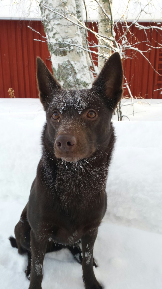 20150127_103757.jpg image