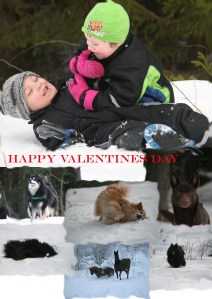 valentine2014