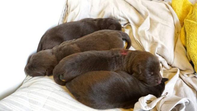 20150305_075511.jpg image