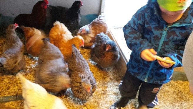 20150305_101537.jpg image