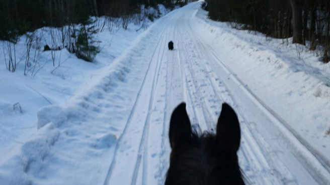 20150305_163316.jpg image