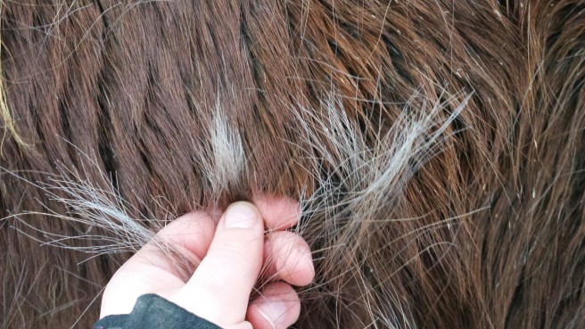 20150305_171623.jpg image