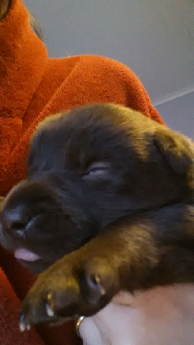 20150314_074305.jpg image