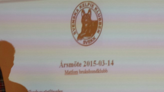 20150314_131329.jpg image