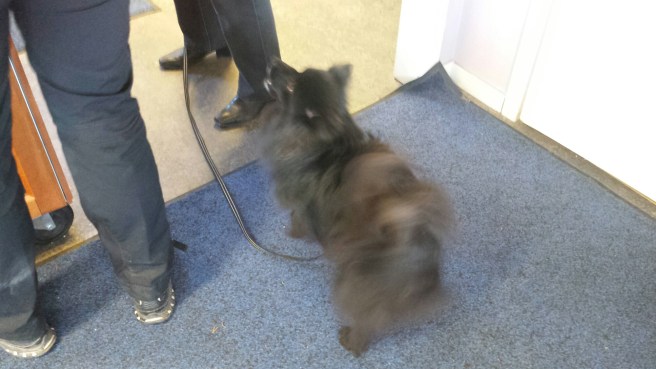 20150314_150258.jpg image