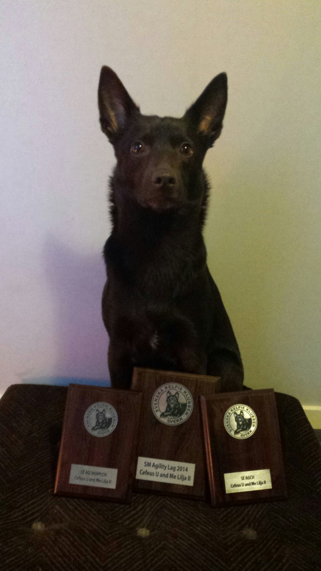 20150314_173406.jpg image