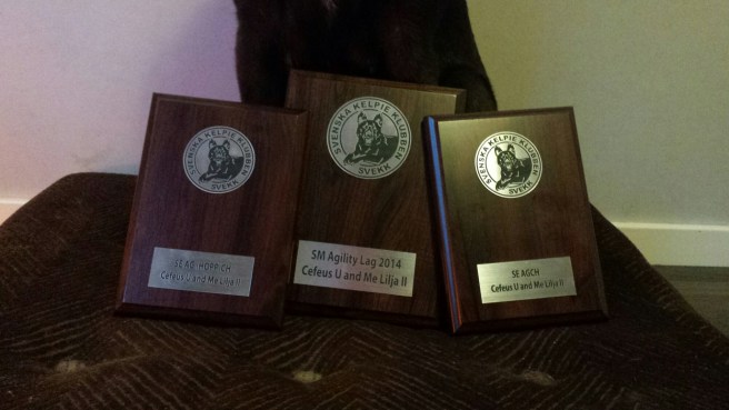 20150314_173415.jpg image