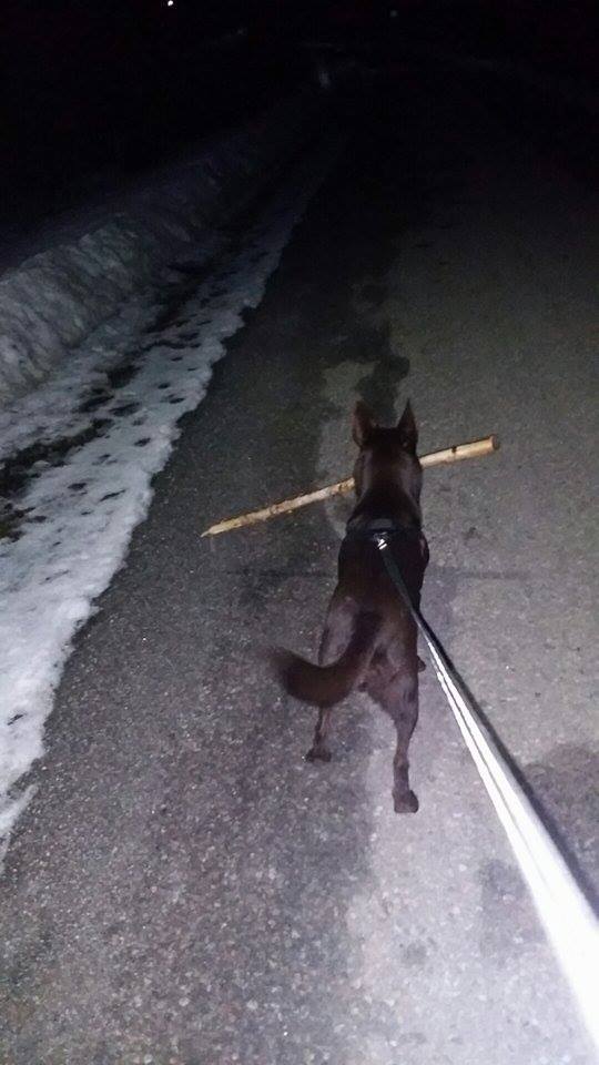 received_10155327389380046.jpeg image